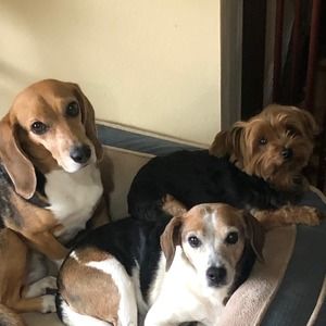 Meet your Posher, Michele